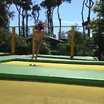 キャンプ場 Paradiso