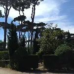 Paradiso فياريجيو