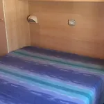 مكان تخييم Paradiso