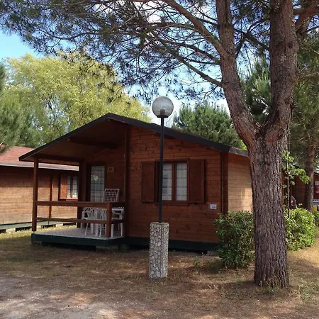 Camping Paradiso Виареджо