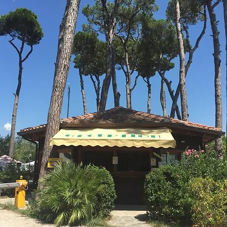 Camping Paradiso 3*