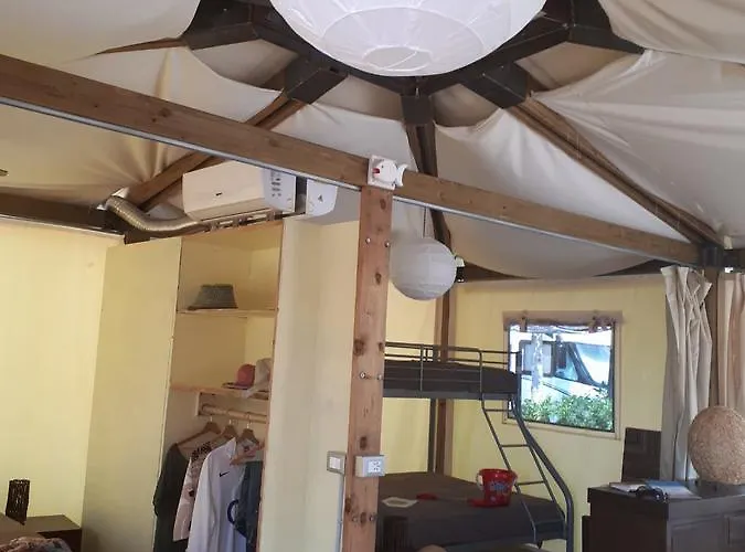 Paradiso Kemp Viareggio